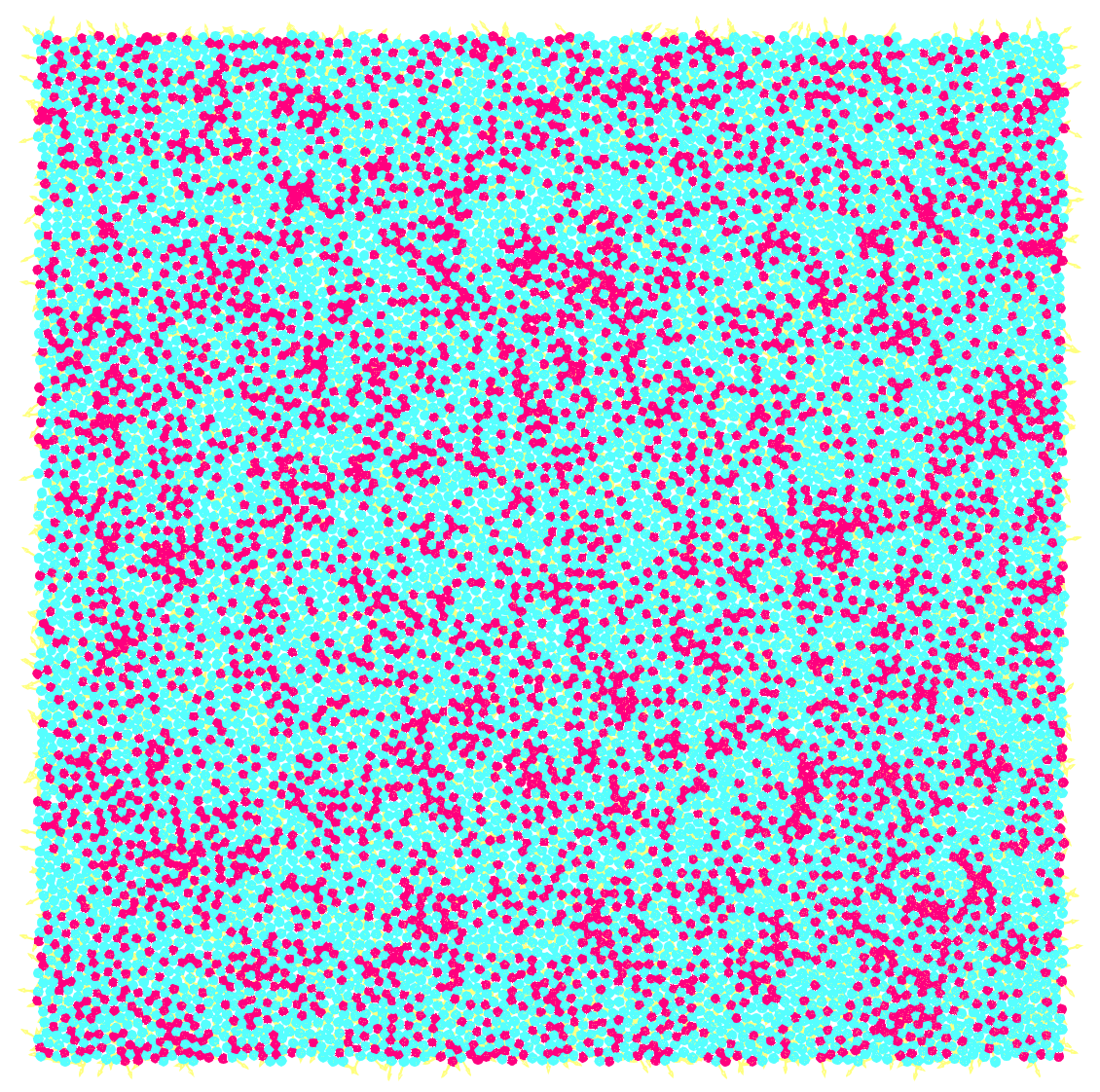 Dense Active Fluid visualization