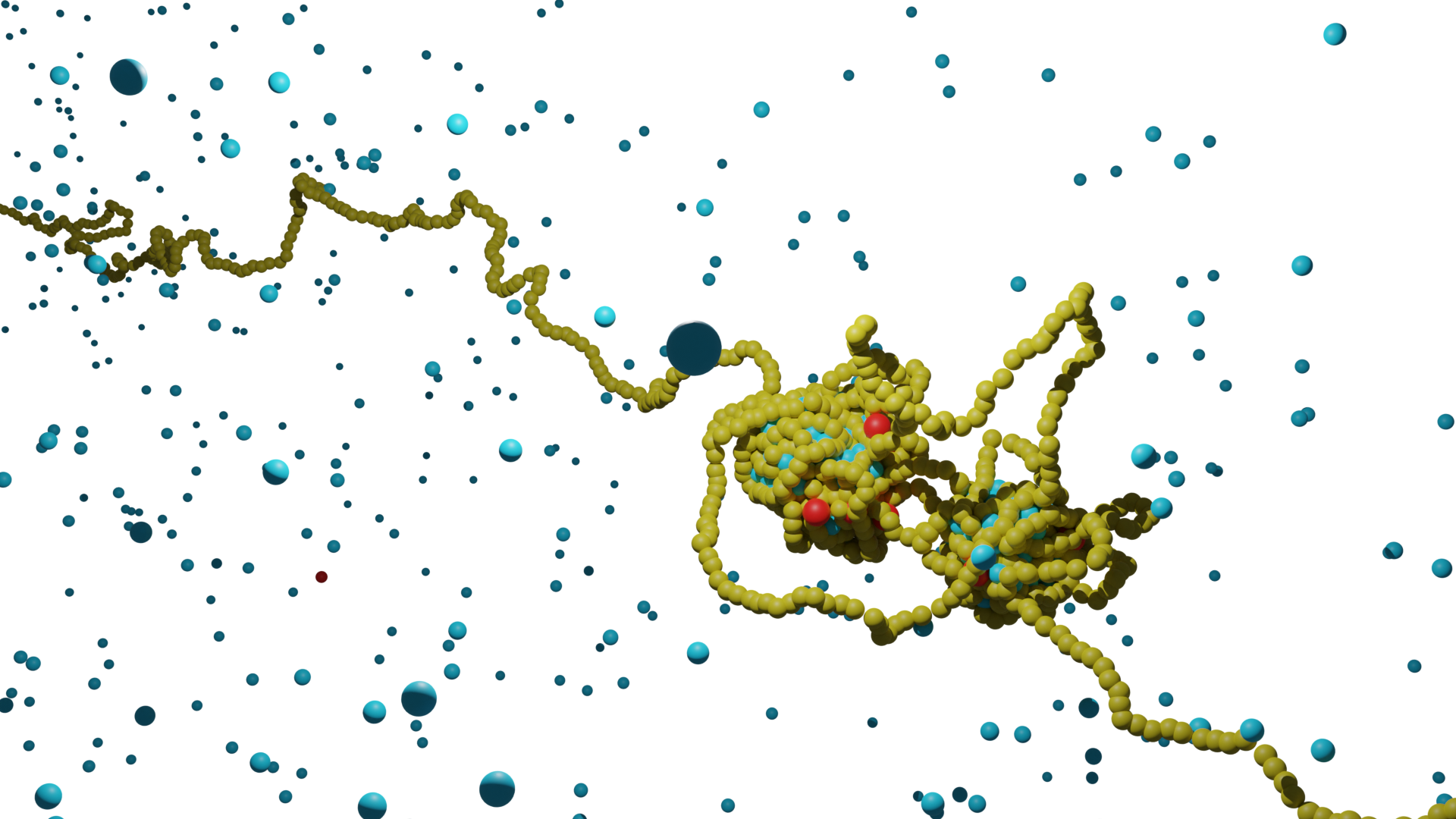 Genome Organization visualization