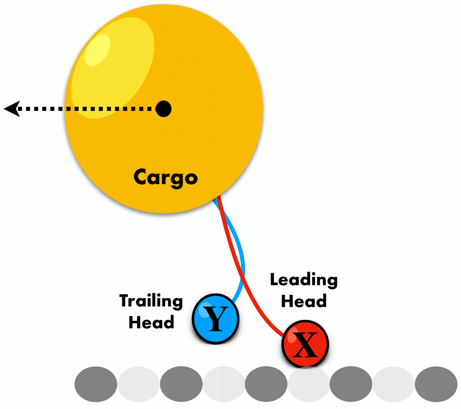 Molecular Motors visualization